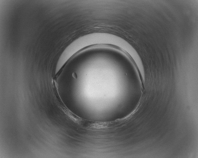 X0000082960094200702152317