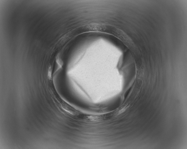 X0000082960095200702152317