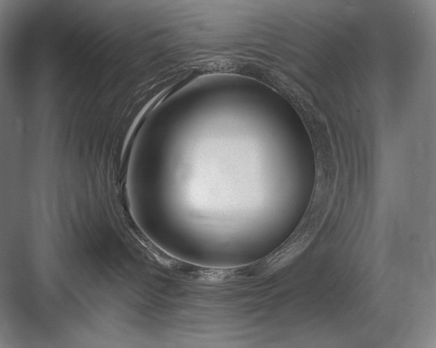 X0000082960096200702152317