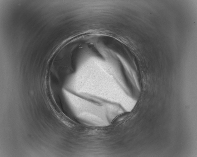 X0000082960098200702152316