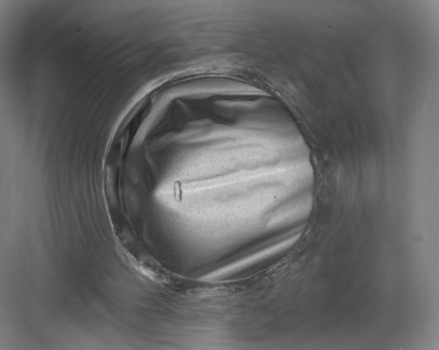 X0000082960100200702152316