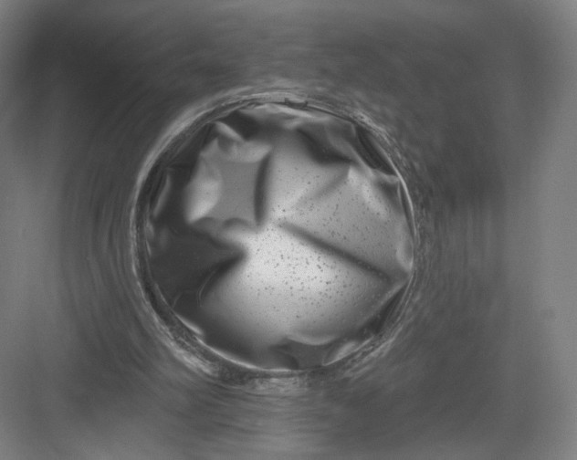 X0000082960102200702152316