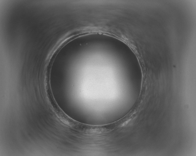 X0000082960103200702152316