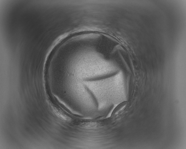 X0000082960104200702152316