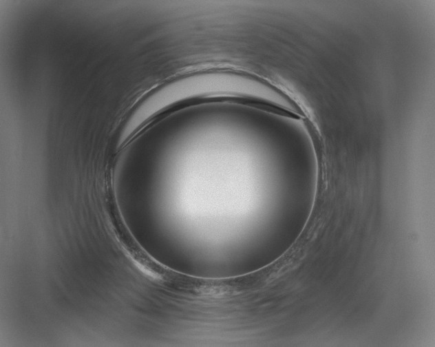 X0000082960105200702152316