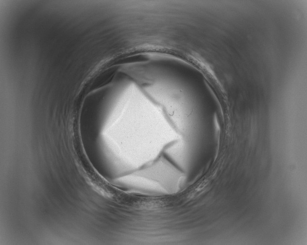 X0000082960106200702152316