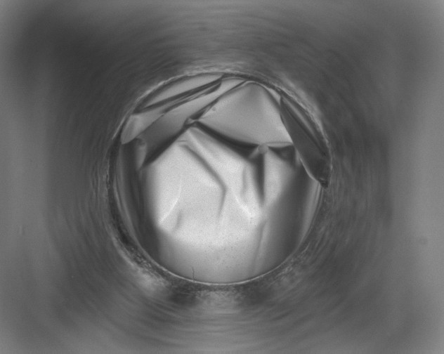 X0000082960107200702152316