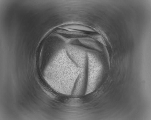 X0000082960108200702152316