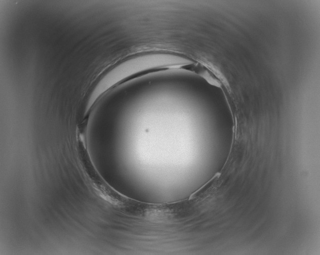 X0000082960109200702152316