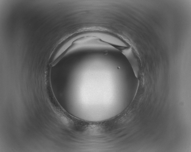 X0000082960111200702152316