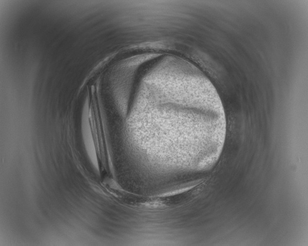 X0000082960112200702152316