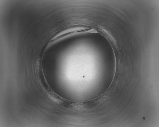 X0000082960113200702152316