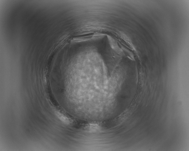 X0000082960114200702152316