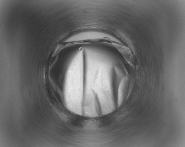 X0000082960115200702152316