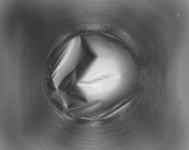 X0000082960116200702152316