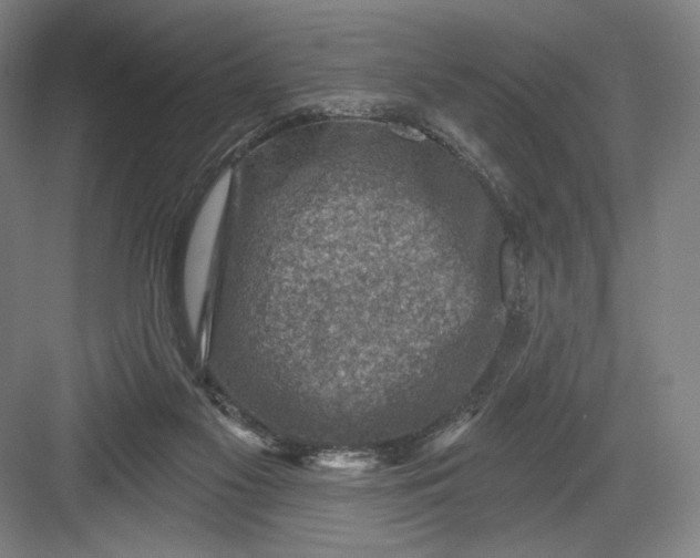 X0000082960117200702152316