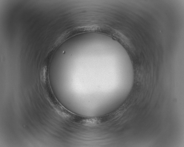 X0000082960118200702152316