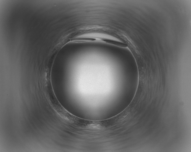 X0000082960119200702152316