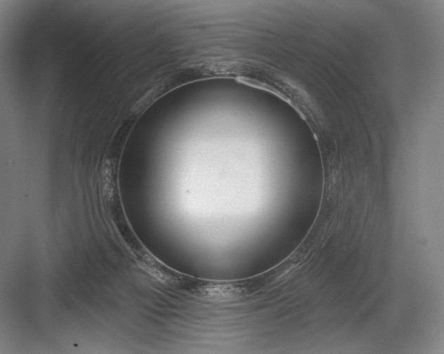 X0000082960121200702152316