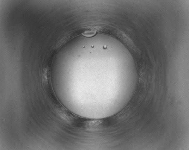 X0000082960122200702152316