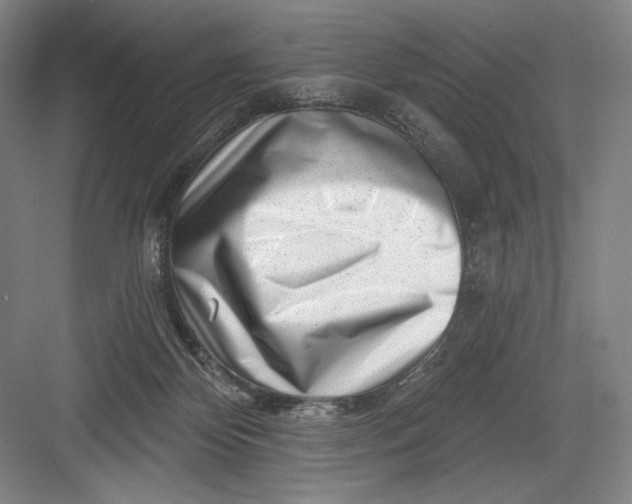 X0000082960124200702152316