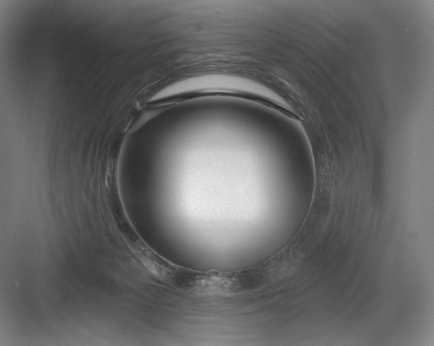 X0000082960125200702152316