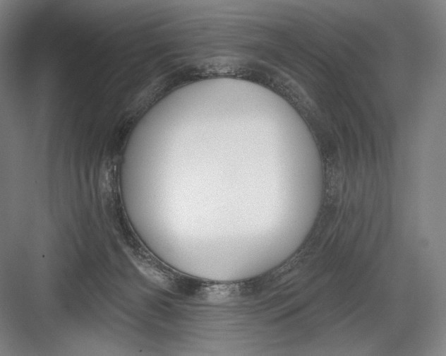 X0000082960126200702152316