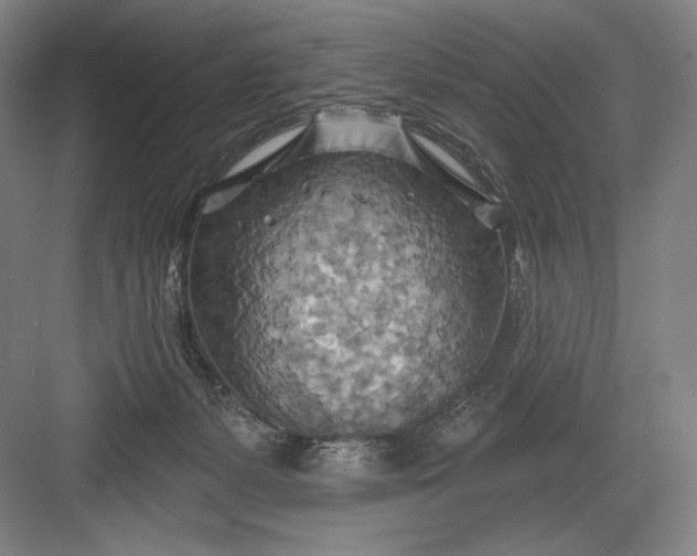 X0000082960127200702152316