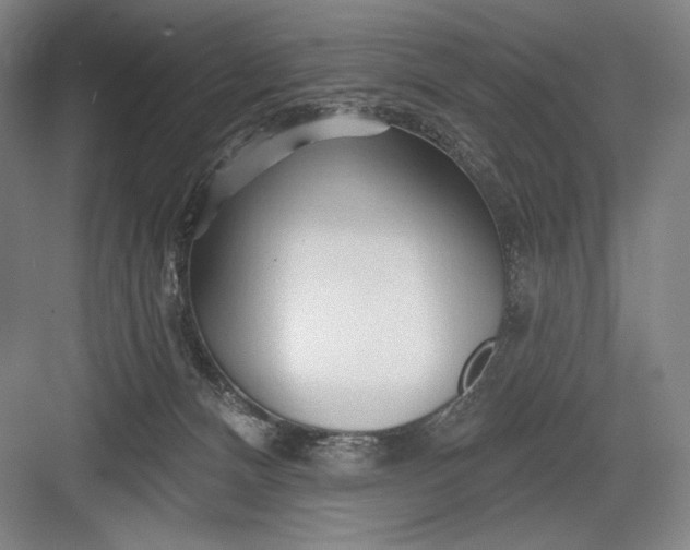 X0000082960128200702152316