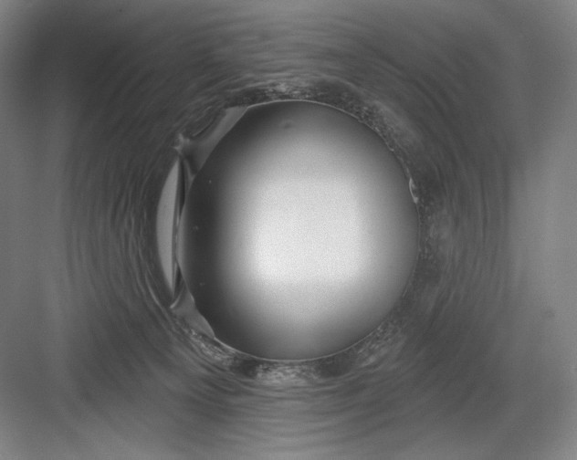 X0000082960129200702152316