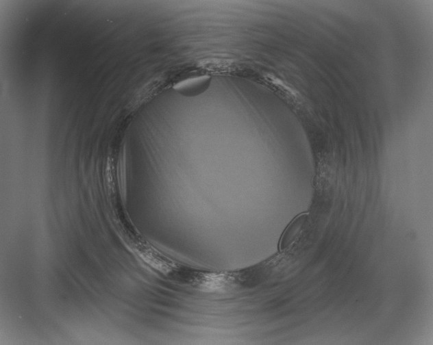 X0000082960130200702152316