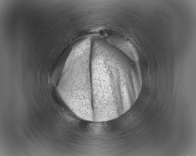 X0000082960131200702152316