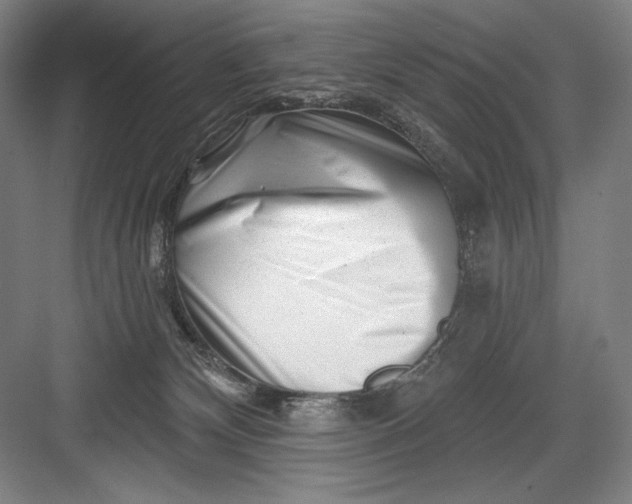 X0000082960132200702152316