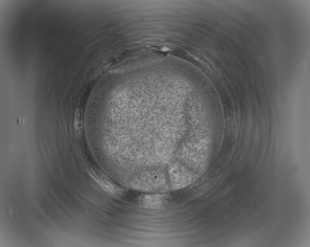 X0000082960134200702152316