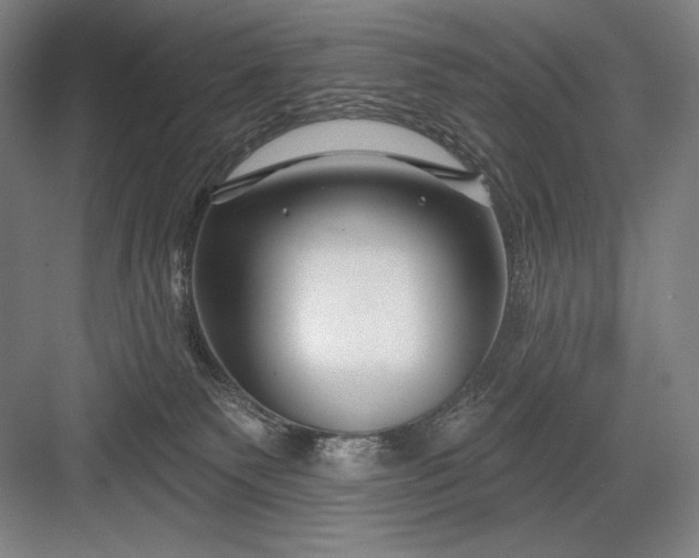 X0000082960135200702152316