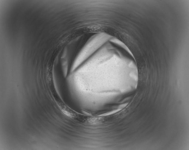 X0000082960136200702152316