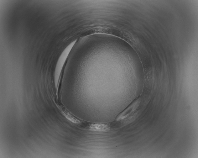 X0000082960137200702152316