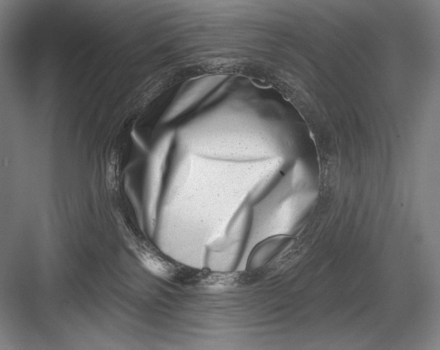 X0000082960138200702152316