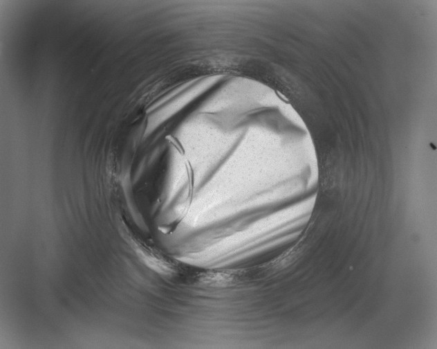 X0000082960140200702152315