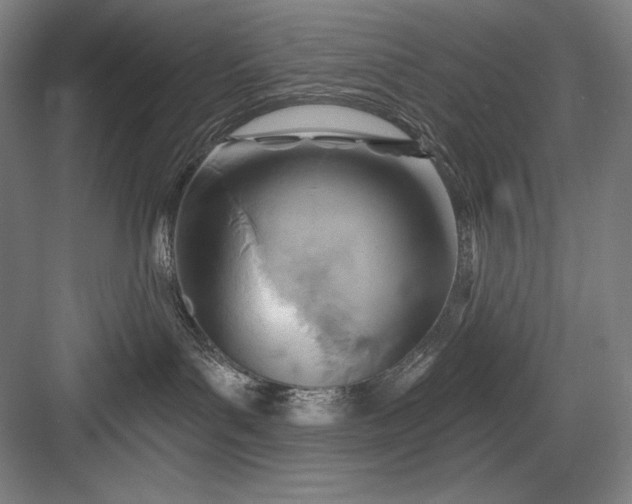 X0000082960143200702152315