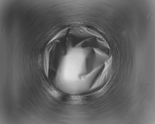 X0000082960144200702152315