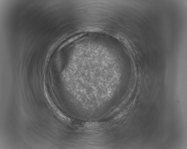 X0000082960145200702152315