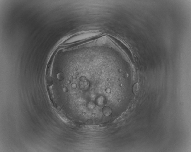 X0000082960147200702152315