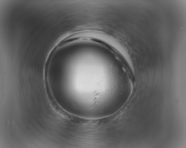 X0000082960148200702152315