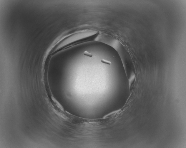 X0000082960150200702152315