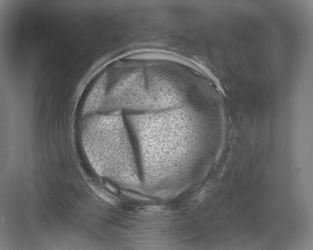 X0000082960151200702152315