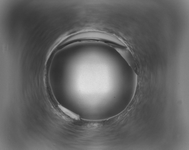 X0000082960152200702152315