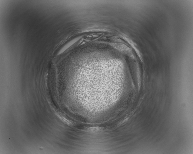 X0000082960153200702152315