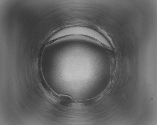 X0000082960154200702152315