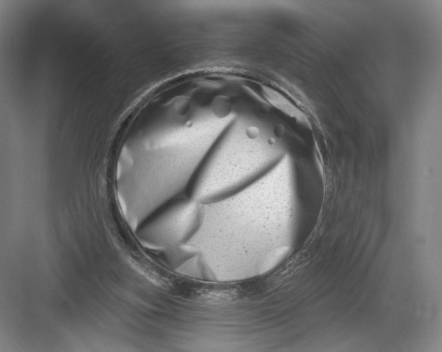 X0000082960155200702152315